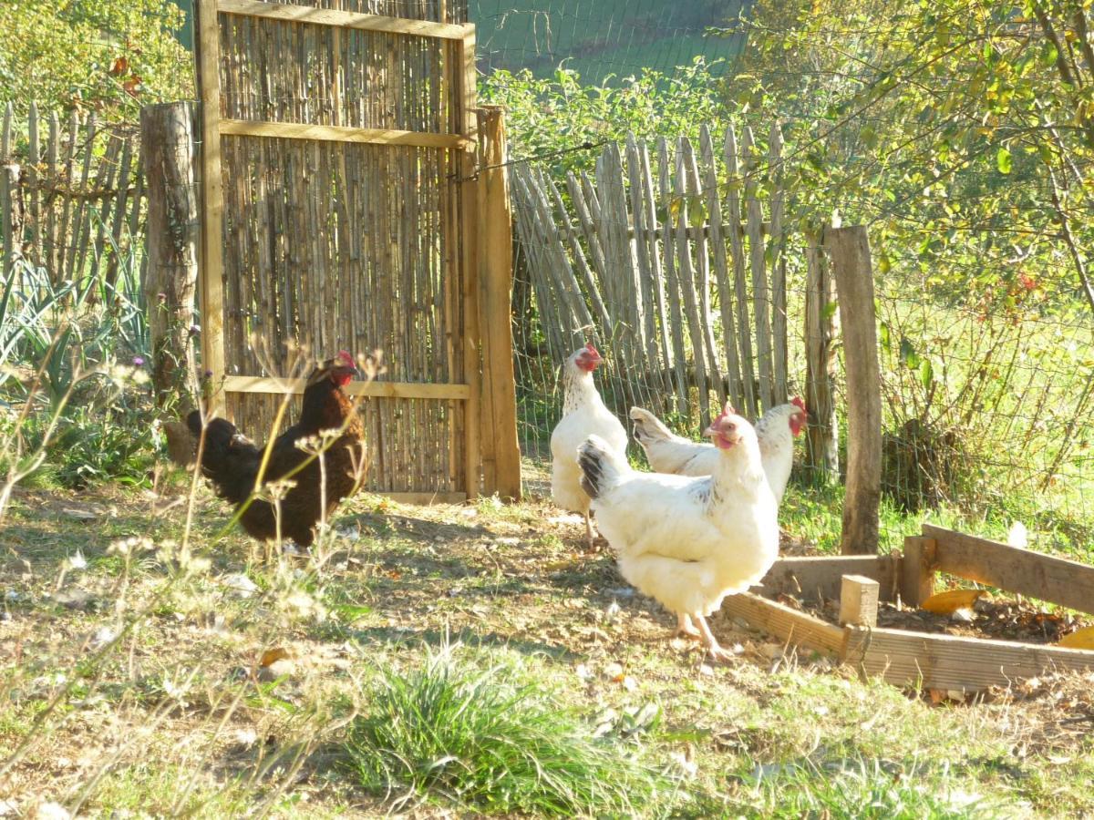 LiesLes Granges De La Hulotte, La Hulotte别墅 外观 照片